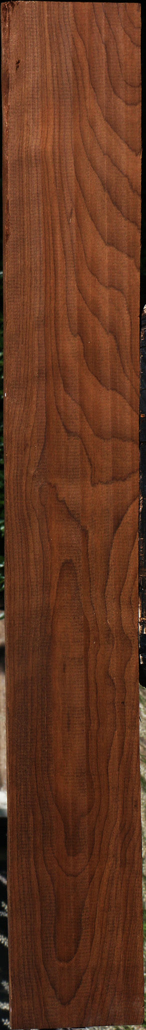 Caramelized Birch Lumber