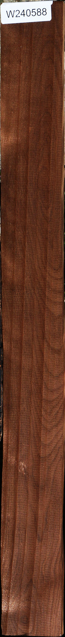 Caramelized Birch Lumber