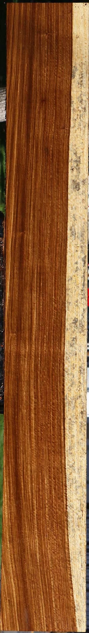 Exhibition Muninga Lumber