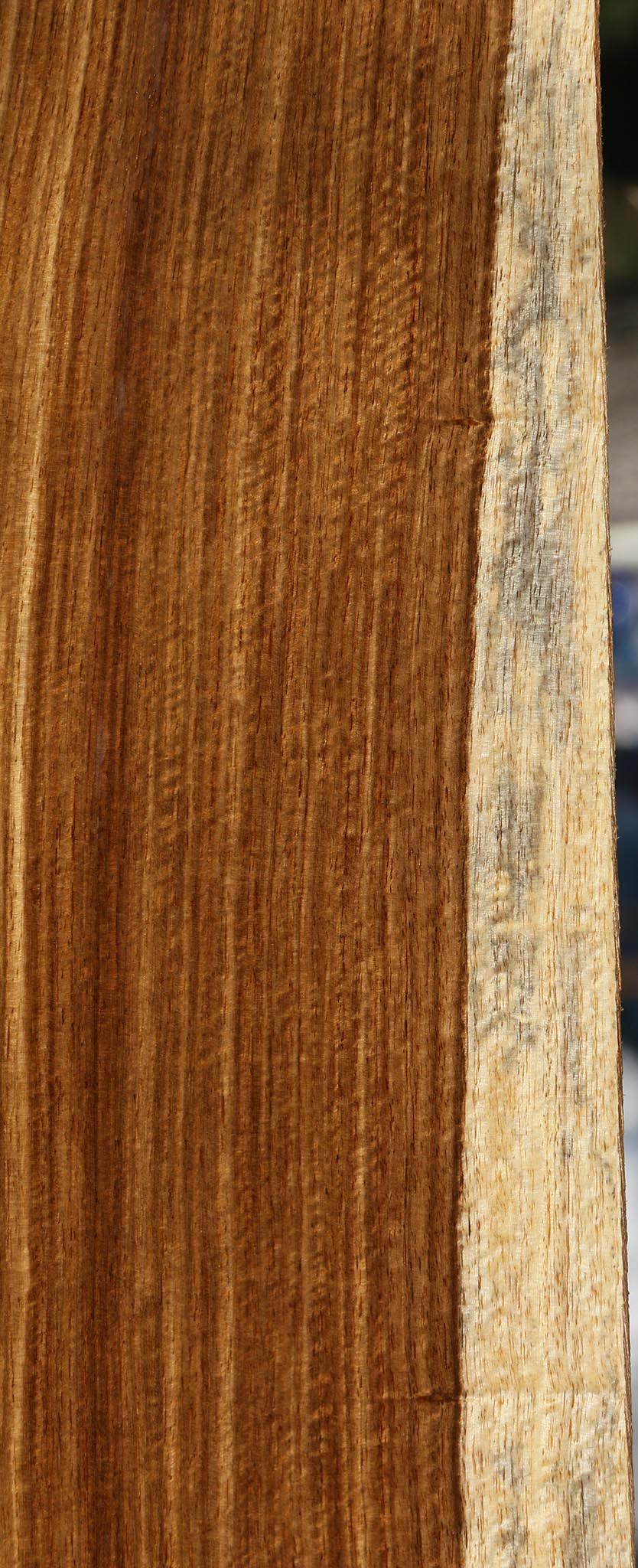 Exhibition Muninga Lumber