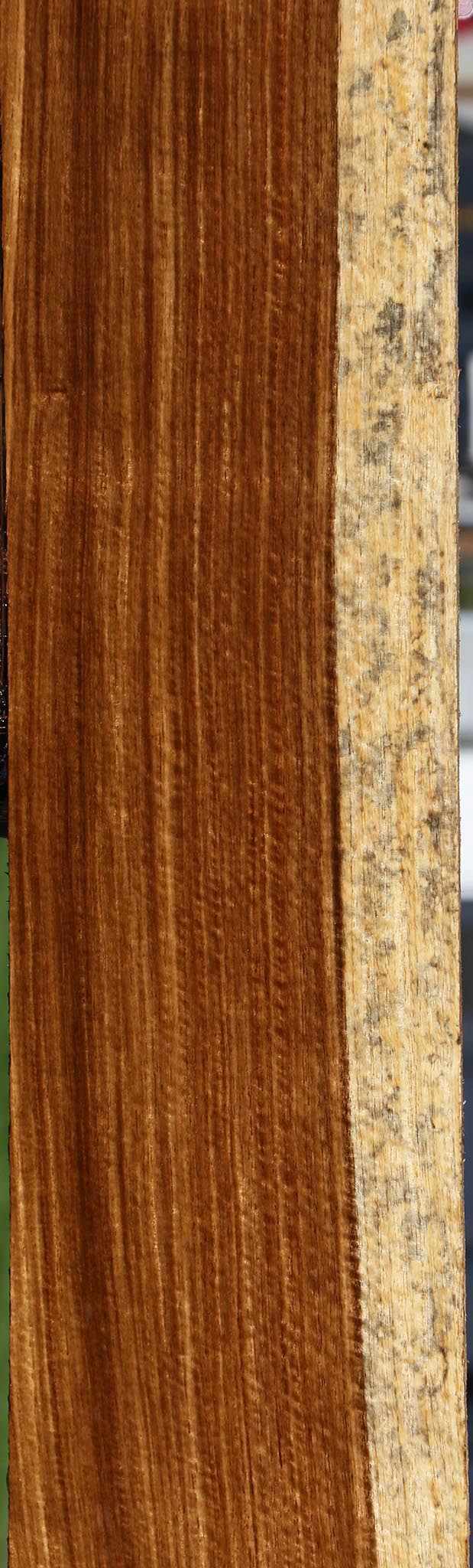 Exhibition Muninga Lumber