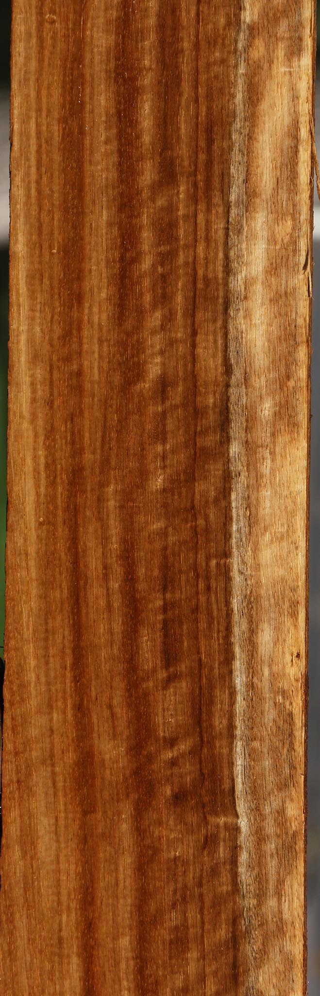 Extra Fancy Muninga Lumber