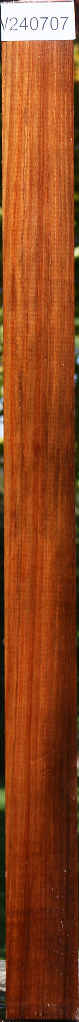 Muninga Turning Square