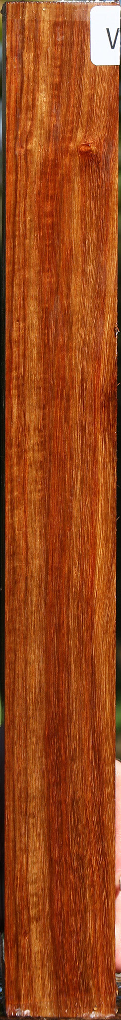 Muninga Turning Square