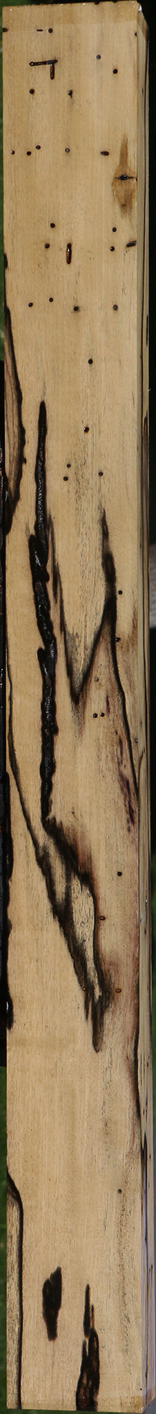 Black & White Ebony Lumber