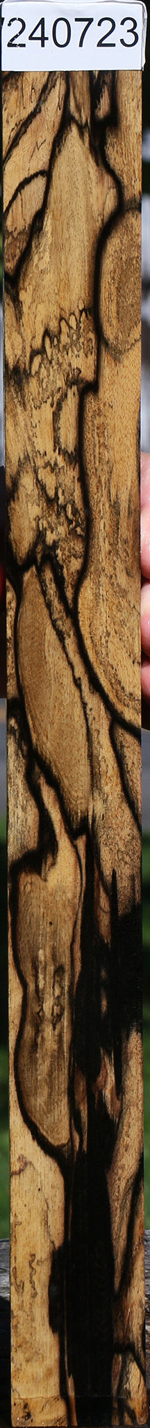 Extra Fancy Black & White Ebony Turning Square