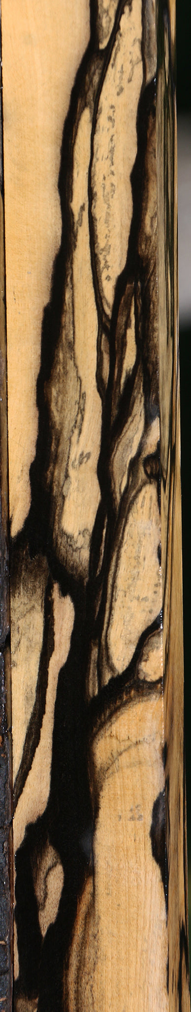 Exhibition Black & White Ebony Lumber