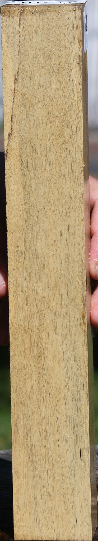 Black & White Ebony Lumber