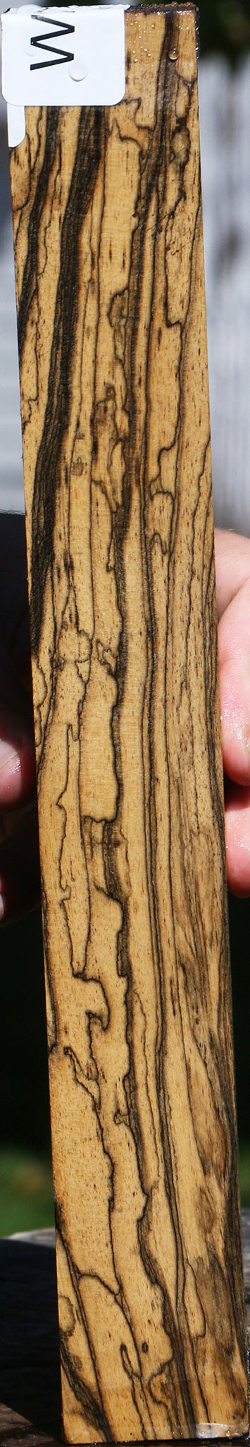 Exhibition Black & White Ebony Lumber