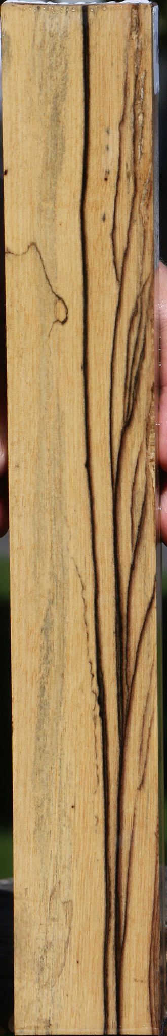 Black & White Ebony Lumber