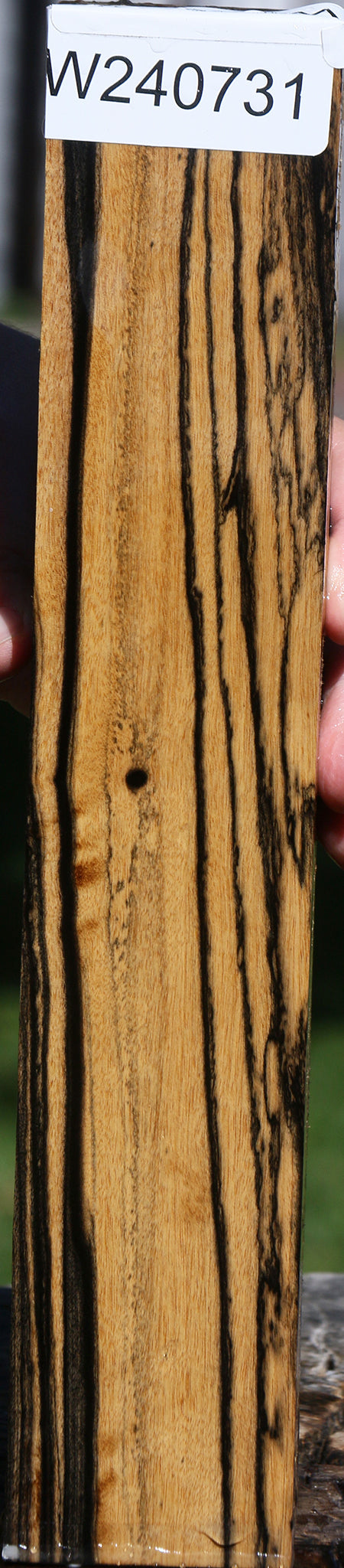 Black & White Ebony Lumber