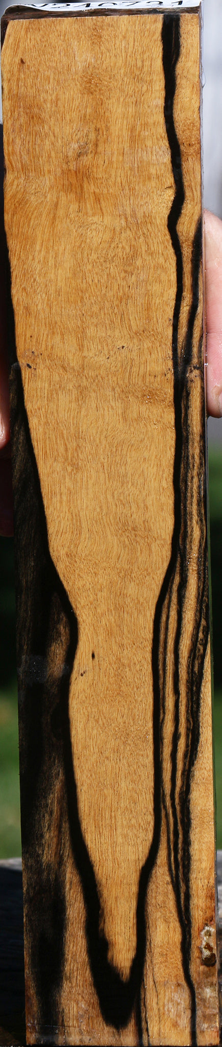 Black & White Ebony Lumber