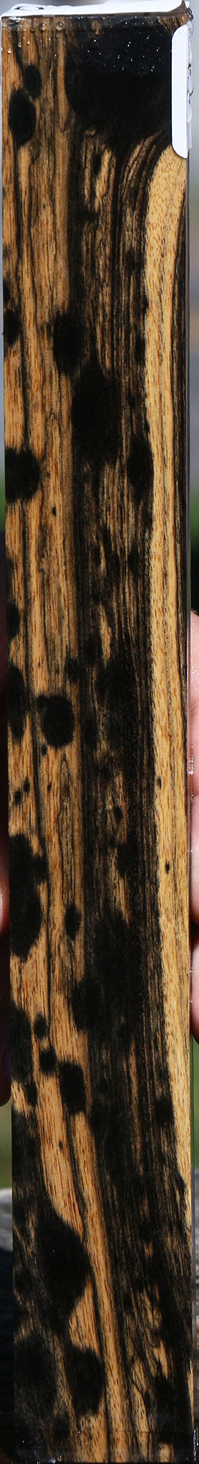 Black & White Ebony Lumber