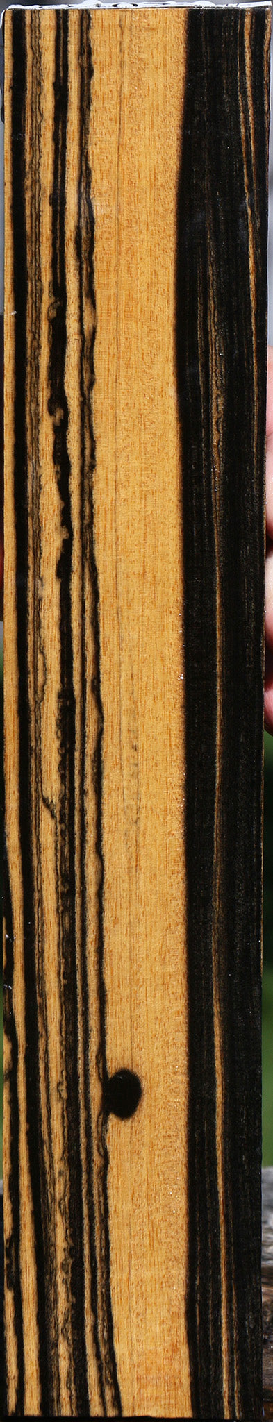 Black & White Ebony Lumber