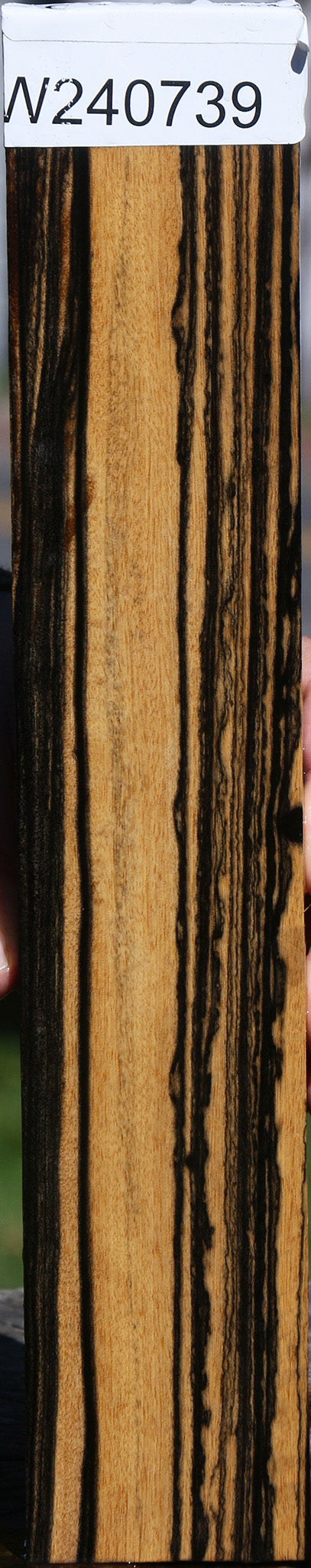 Black & White Ebony Lumber