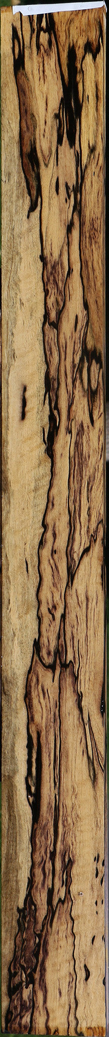 Exhibition Black & White Ebony Fingerboard