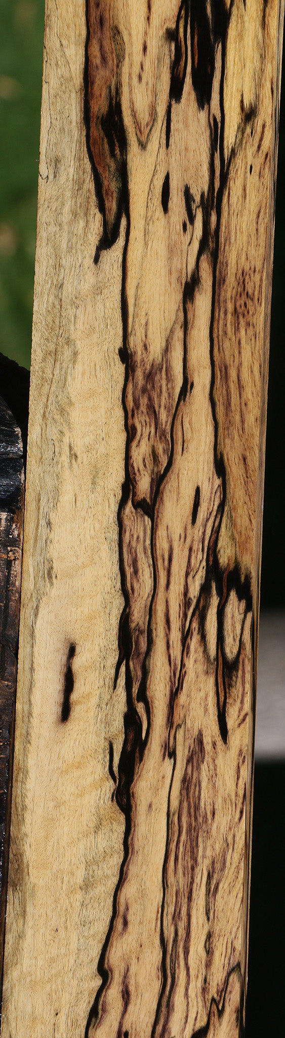 Exhibition Black & White Ebony Fingerboard