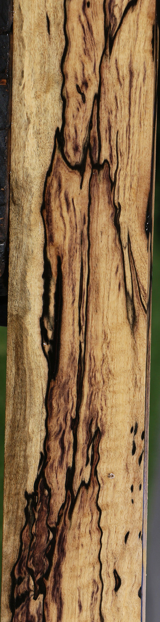 Exhibition Black & White Ebony Fingerboard