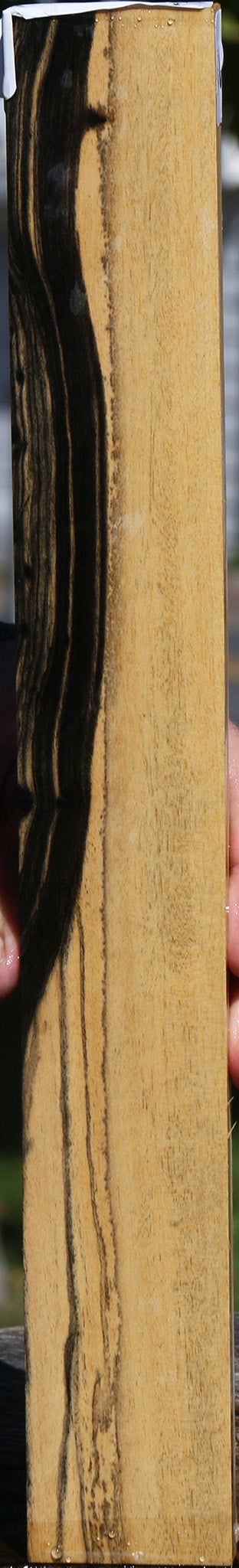 Black & White Ebony Lumber