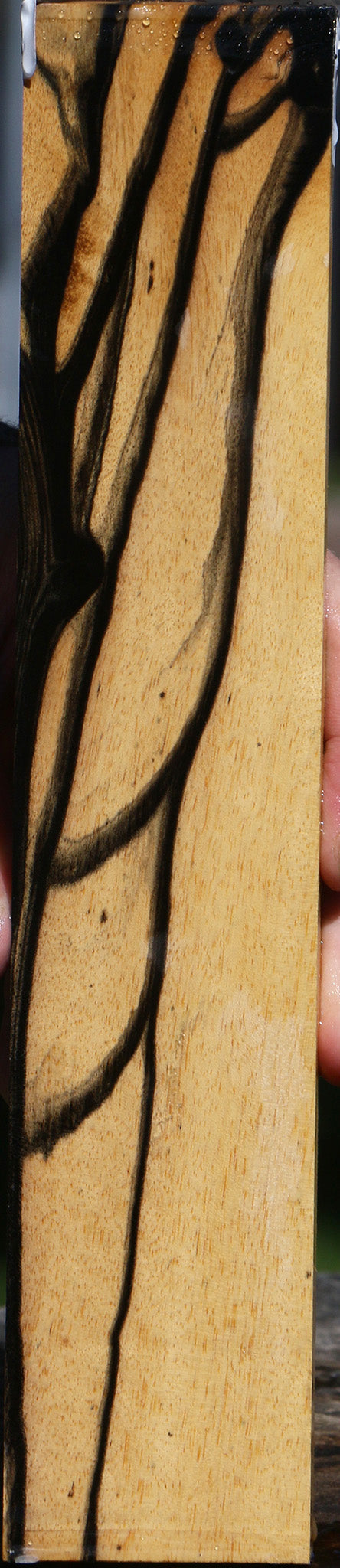 Black & White Ebony Micro Lumber