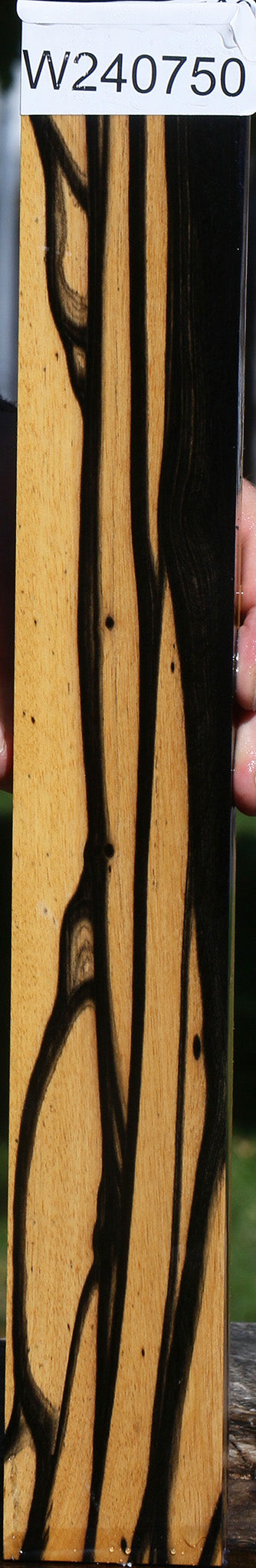 Black & White Ebony Lumber