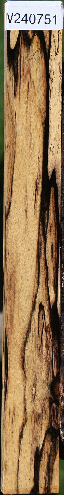 Black & White Ebony Lumber