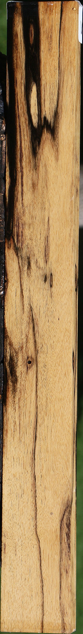 Black & White Ebony Lumber