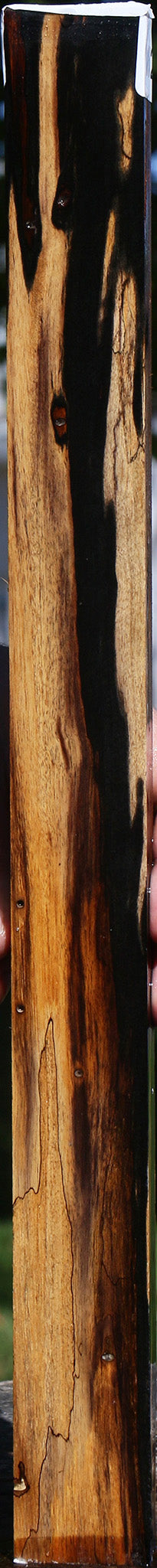 Rustic Black & White Ebony Lumber