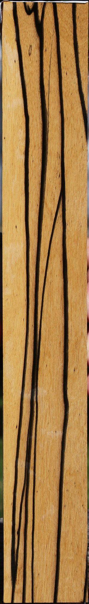 Black & White Ebony Lumber