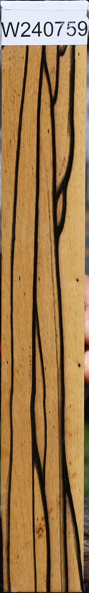 Black & White Ebony Lumber