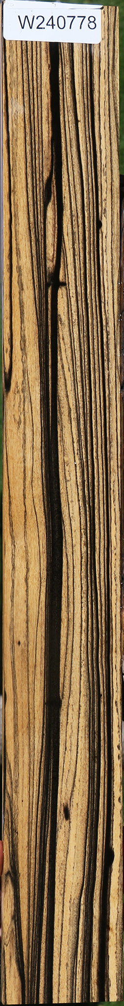 Black & White Ebony Fingerboard