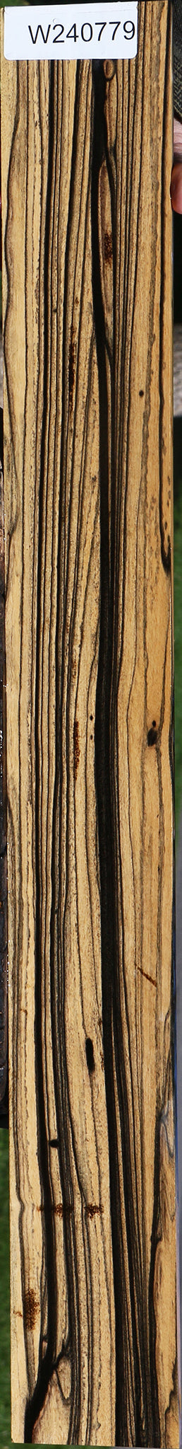 Black & White Ebony Fingerboard