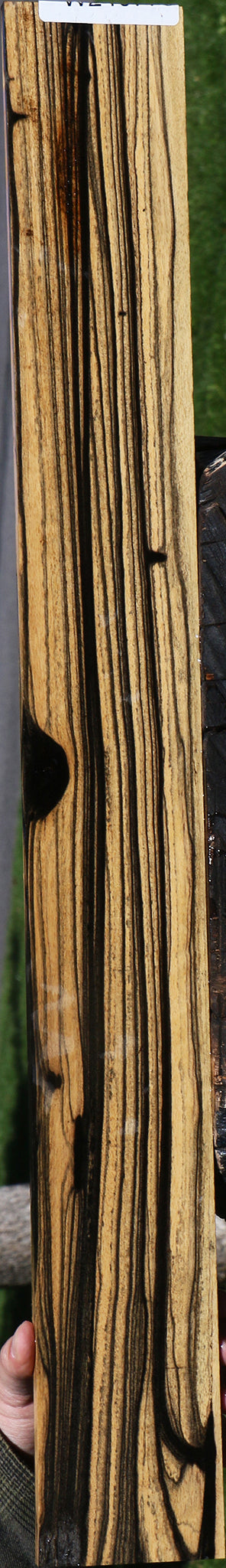 Black & White Ebony Fingerboard