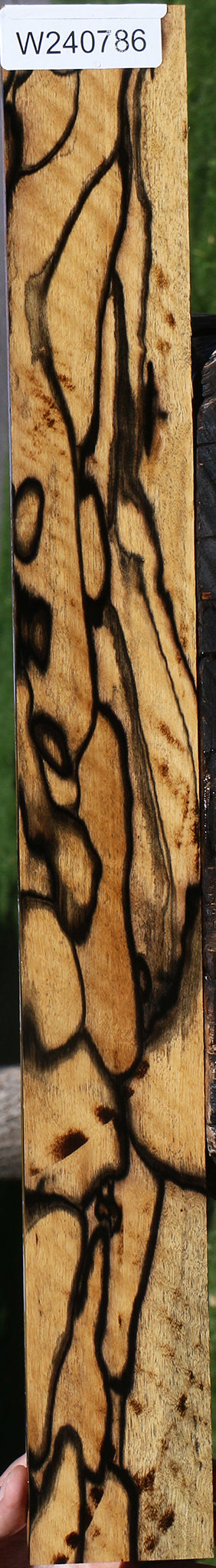 Exhibition Black & White Ebony Instrument Micro Lumber