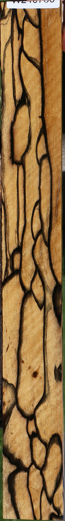 Exhibition Black & White Ebony Instrument Micro Lumber