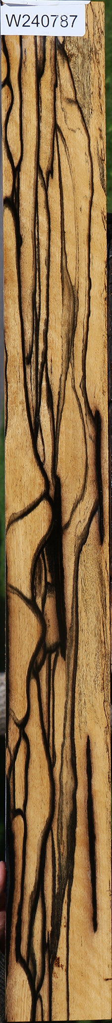 Black & White Ebony Instrument Micro Lumber