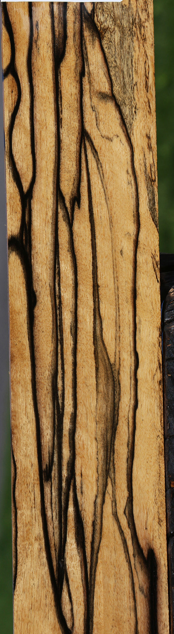 Black & White Ebony Instrument Micro Lumber