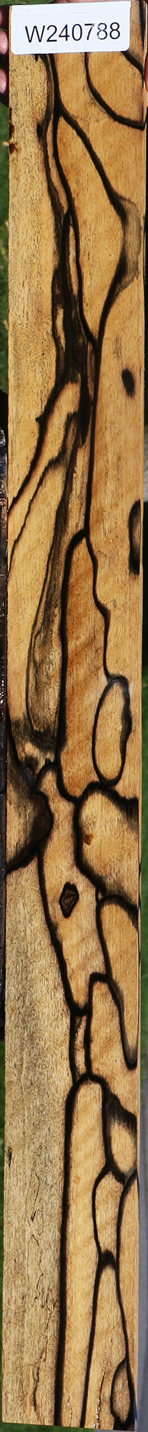 Exhibition Black & White Ebony Micro Lumber