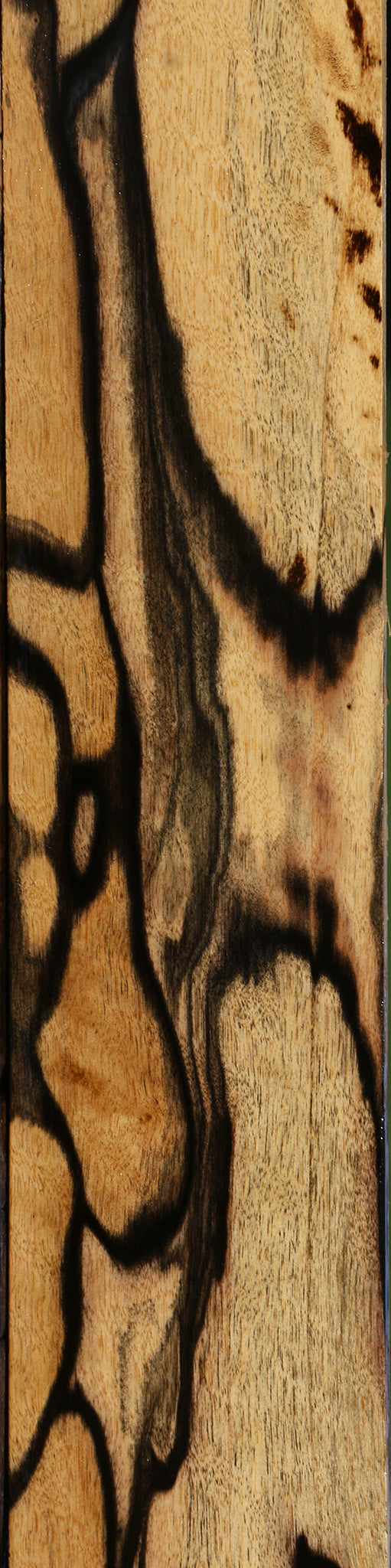 Exhibition Black & White Ebony Micro Lumber
