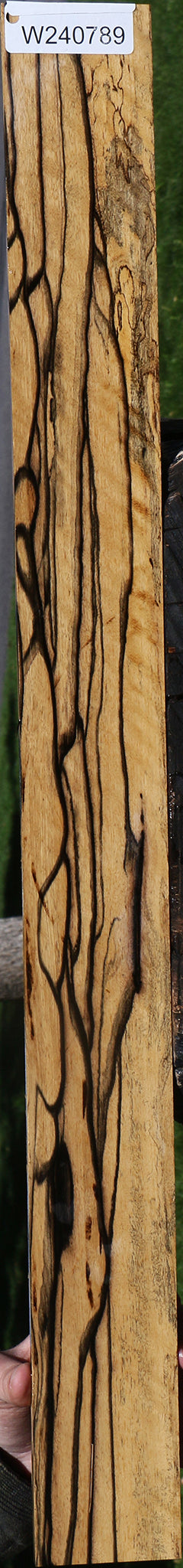 Exhibition Black & White Ebony Fingerboard