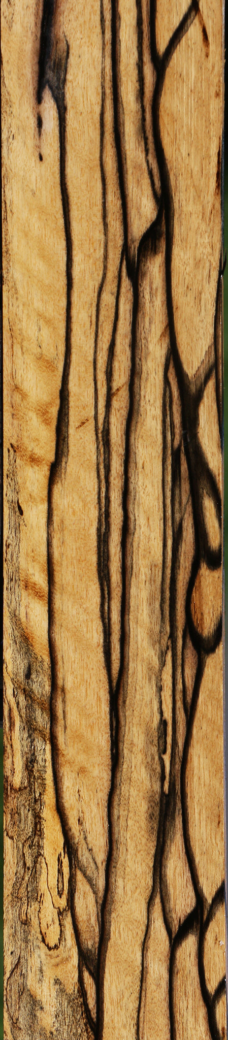 Exhibition Black & White Ebony Fingerboard