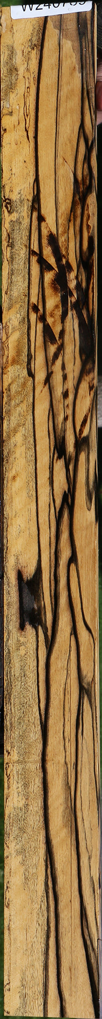 Exhibition Black & White Ebony Fingerboard