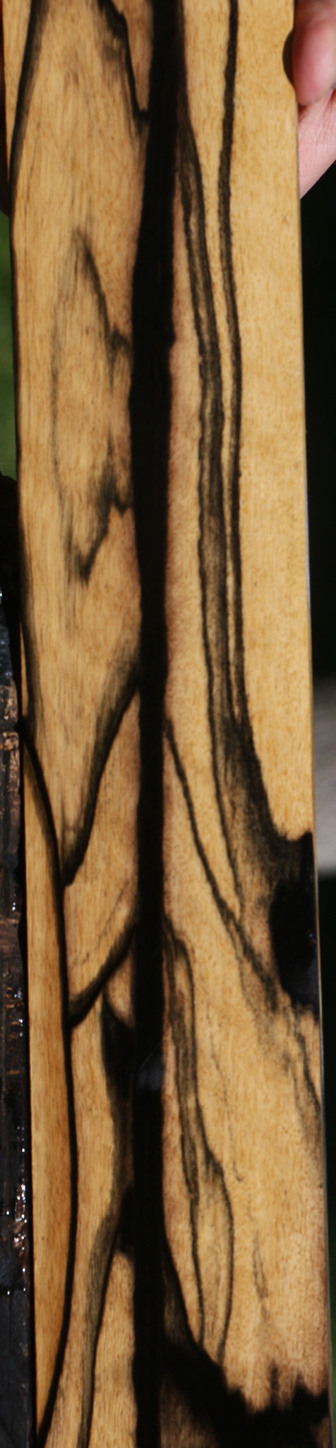 Extra Fancy Black & White Ebony Micro Lumber