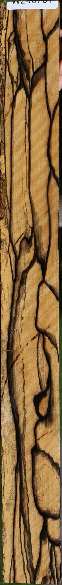 Exhibition Black & White Ebony Fingerboard