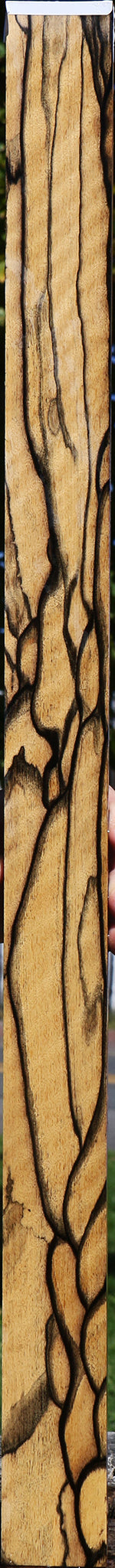 Exhibition Black & White Ebony Micro Lumber