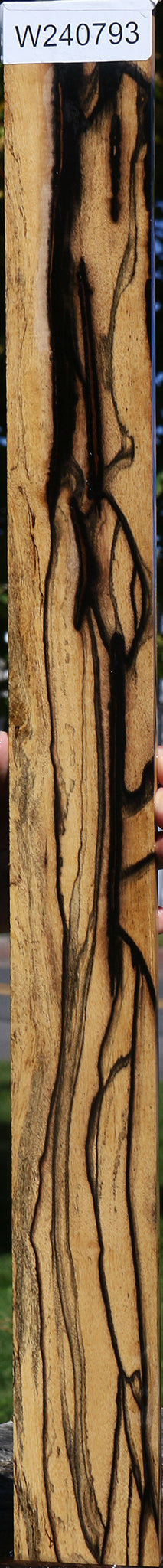 Black & White Ebony Fingerboard