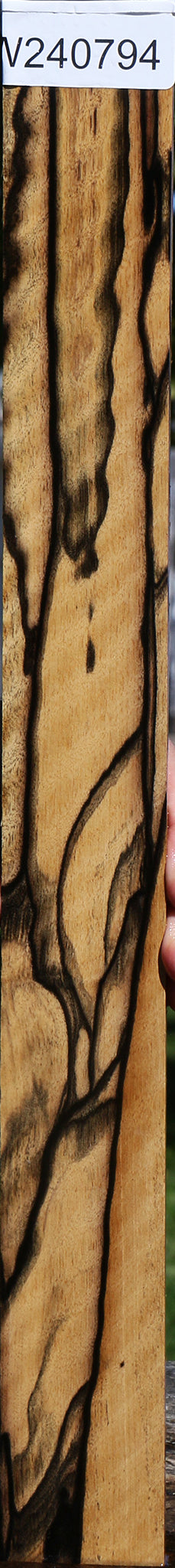 Exhibition Black & White Ebony Fingerboard