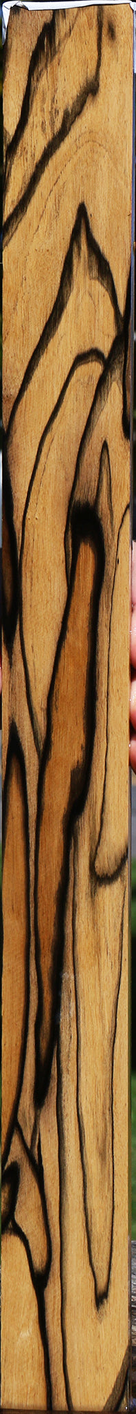 Black & White Ebony Lumber