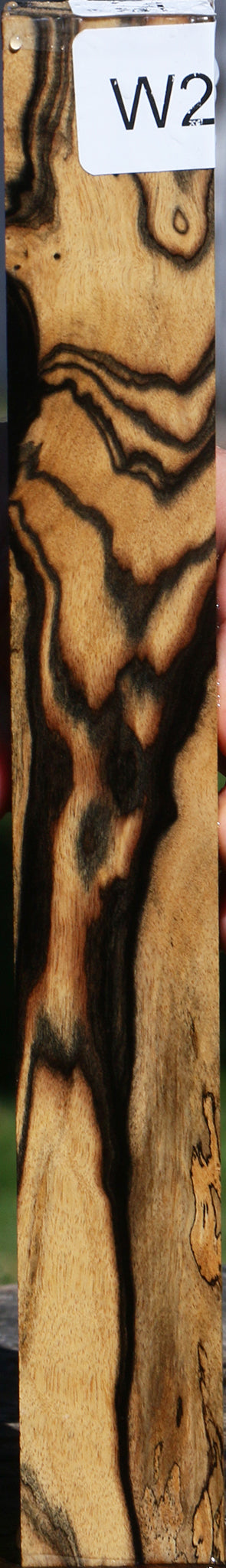 Black & White Ebony Turning Square