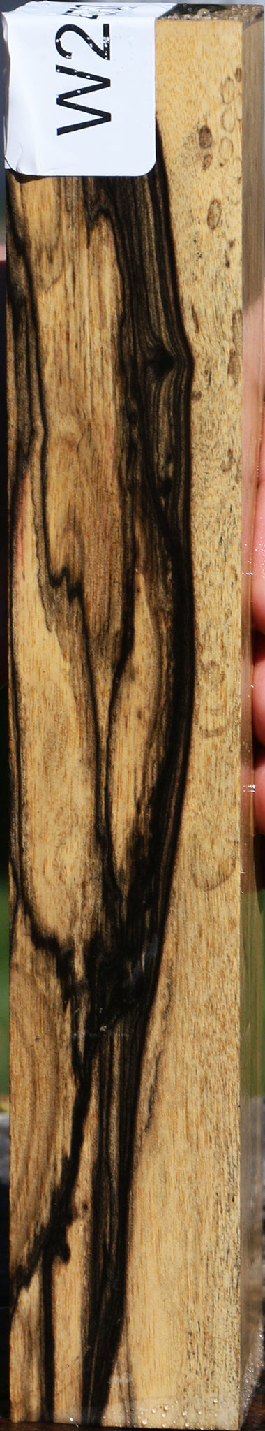 Black & White Ebony Turning Square